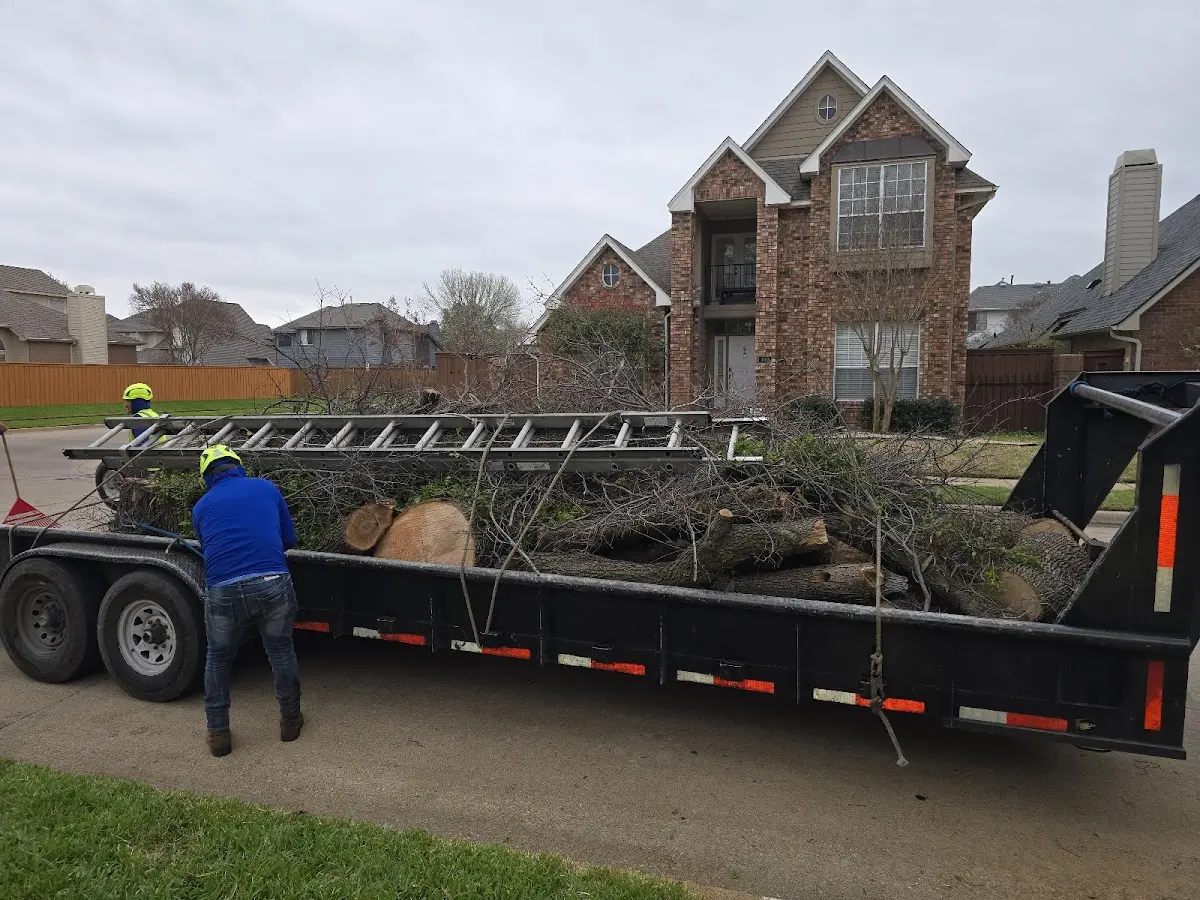 Expert Tree Pest Control with proper safety equipment in Johnstown